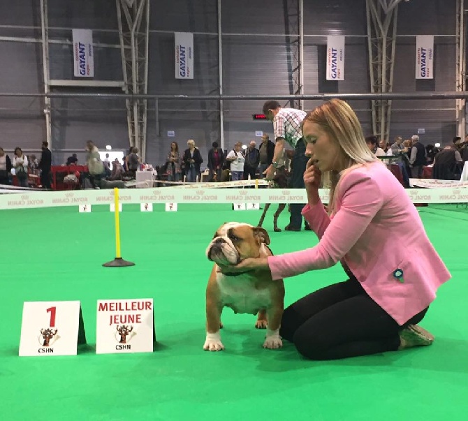 Bulls Save The Queen - Exposition internationale Douai 