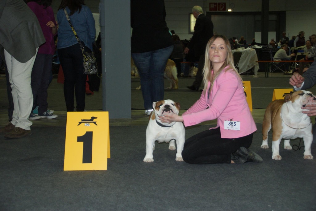 Bulls Save The Queen - Luxembourg dog Show 