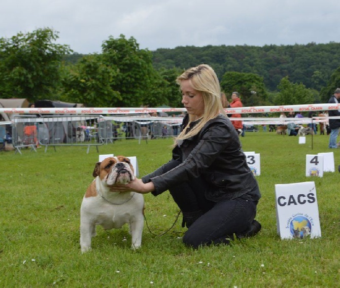 Bulls Save The Queen - CACS Evreux 29.05.14