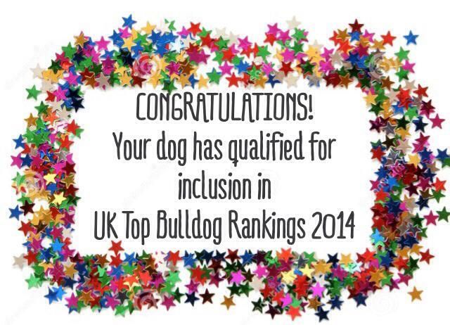 Bulls Save The Queen - UK Top Bulldog 2014